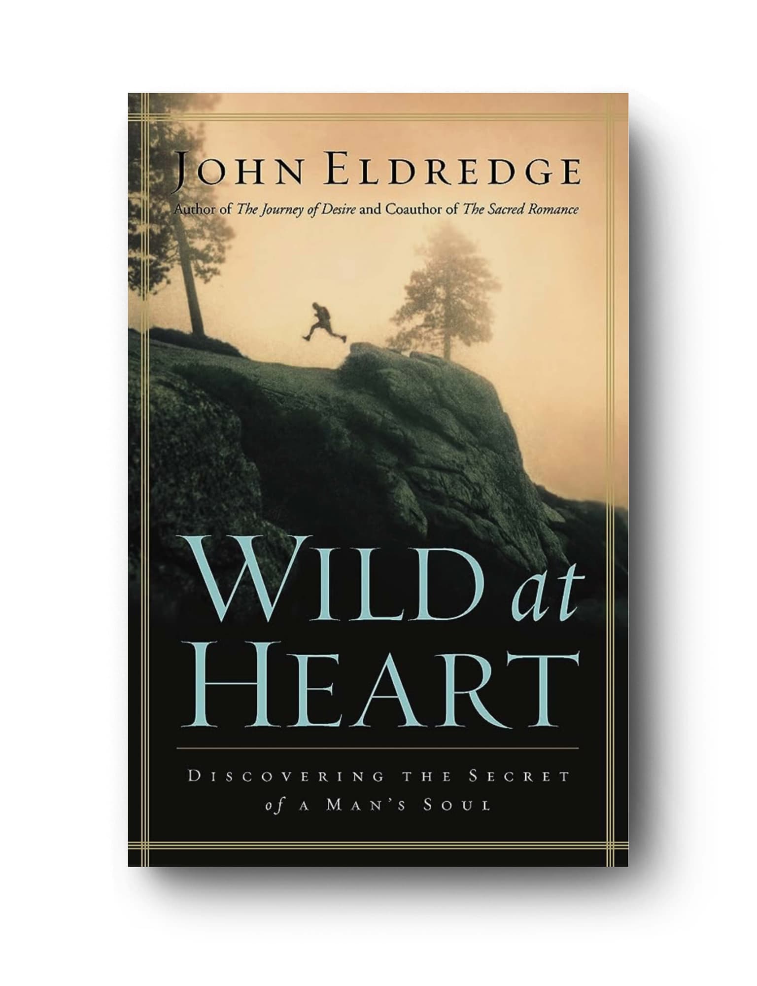 Wild at Heart (classic edition) — John Eldredge (book cover)