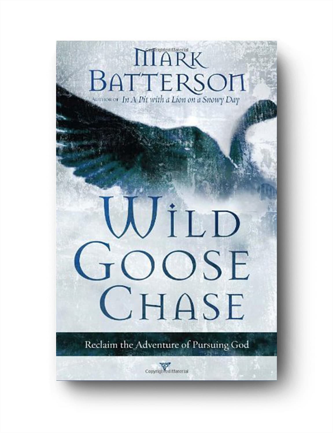 Wild Goose Chase — Mark Batterson (book cover)