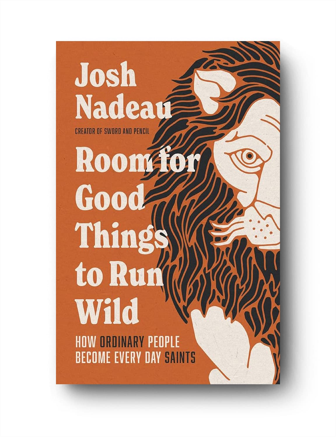 Room for Good Things to Run Wild — Josh Nadeau (book cover)
