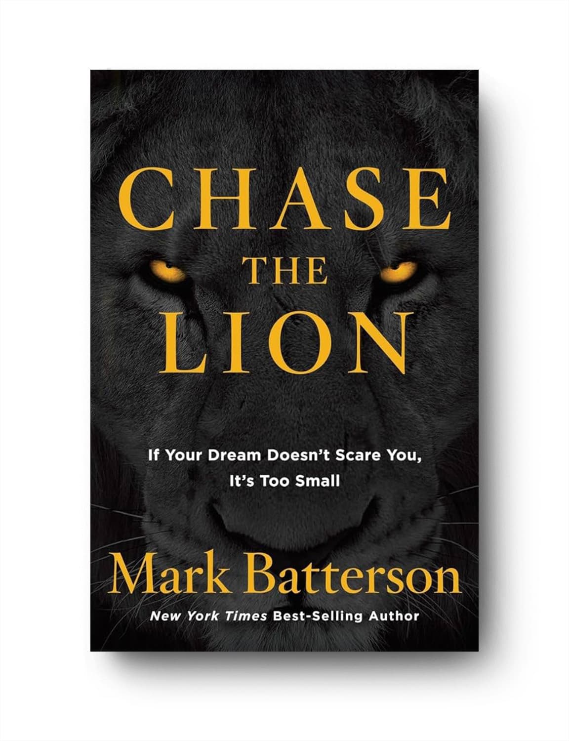 Chase the Lion — Mark Batterson (book cover)